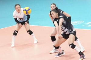 五星体育直播-排坛逐梦二十载 金烨：北京女排就像家一样|排球|客场|球迷|球队|老将_新浪新闻